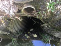 IMG-4358.jpg