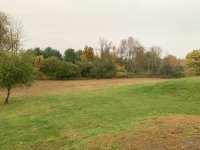 IMG_0090.JPG