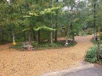 20190914_123123[1].jpg