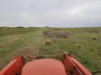 20180509_190632.jpg