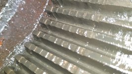 20190720_163733.jpg