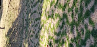 20191027_155951.jpg