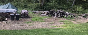 D3D04921-CB4E-43C6-8B33-AD0666E6450A.jpeg