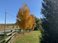 IMG_2158.JPG
