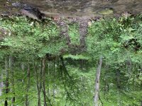 IMG_0674.jpg