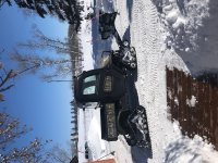 IMG_1268.jpg