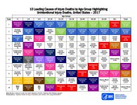 leading_causes_of_death_by_age_group_unintentional_2017_1100w850h.jpg