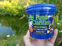 pond-2.jpg