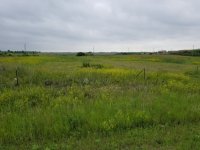20190629_092847.jpg