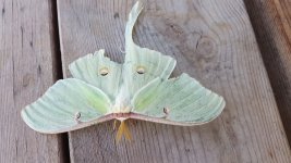 20170725_073145.jpg
