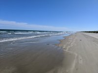 IMG_20191027_160023.jpg