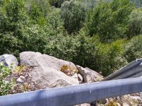 IMG_20190725_160013.jpg