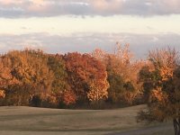 IMG_3347.JPG