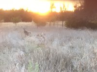 IMG_3349.JPG