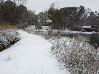 IMG_20191031_094343.jpg