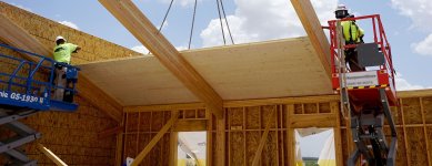 Timber framing.jpg