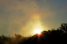 IMG_2644.JPG