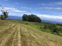 IMG_0635.JPG
