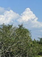 IMG_20191005_160218.jpg