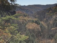 IMG_0197.JPG
