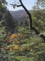 IMG_0200.JPG