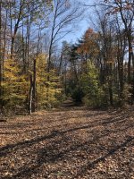 IMG_0207.JPG