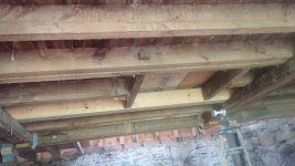 trapdoor2.jpg