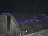 lights.jpg