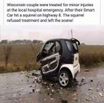 squirrel_wreck.jpg