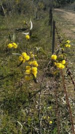 Pulling posts 8.jpg Pulling posts 8.jpg