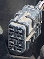 20191225_194538.jpeg