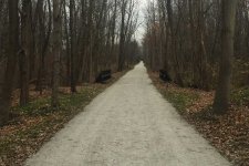 Iron-Horse-Trail-Bridge.jpg