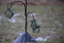 IMG_1464.JPG