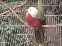 81A33257-8CF0-4CCC-8A6D-A868A8908093.jpeg