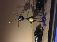 IMG_1437.JPG