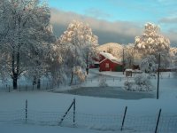 820127-Across the road.jpg