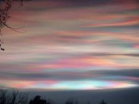 875132-mother of pearl.jpg