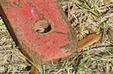 781115-HPIM0155-2.JPG