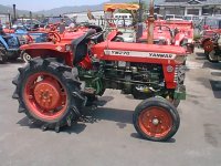 875253-YM270.jpg