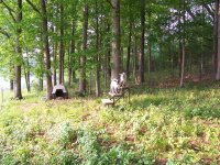 100_0890 (Small).JPG