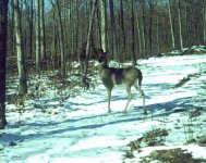 822516-dec_10_doe.jpg
