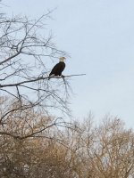 IMG_2832.jpg
