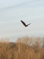 IMG_2836.jpg