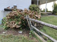 IMG_1774.JPG