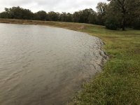 IMG_1014.JPG