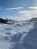 NFLD snow 2.jpg