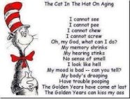 The cAat in the hat on Golden years.jpg