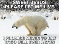 taco bell.jpg