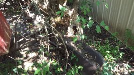 Resized_20190914_115849.jpeg