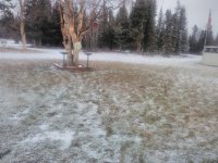 IMG_20191110_140146_hdr.jpg